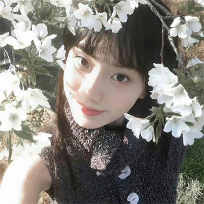 记忆女神的女儿们